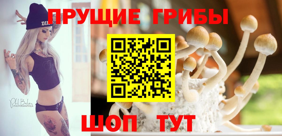 Псилоцибиновые грибы Psilocybine cubensis  Вход с VPN  Галлюциногенные грибы ЛСД  Острогожск 